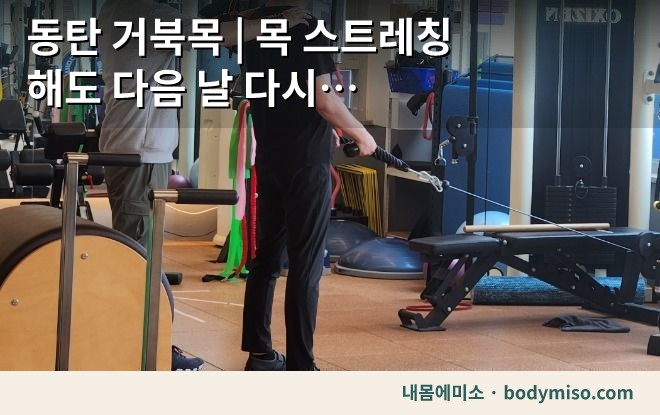 동탄 거북목 | 목 스트레칭 해도 다음 날 다시 원상복귀된다면