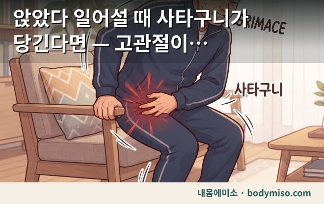 앉았다 일어설 때 사타구니가 당긴다면 — 고관절이 굳었다는 신호