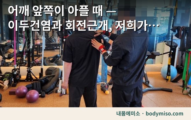 어깨 앞쪽이 아플 때 — 이두건염과 회전근개, 저희가 나누는 기준