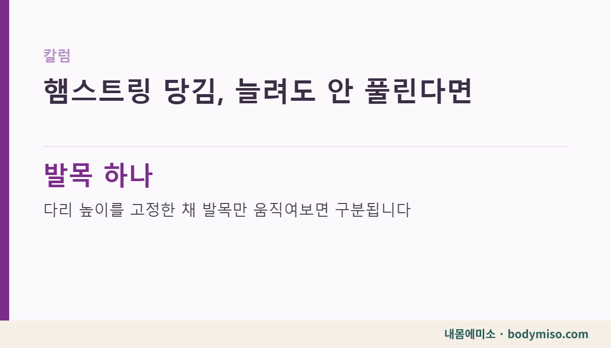 햄스트링 당김, 늘려도 안 풀린다면 근육인지부터 확인합니다