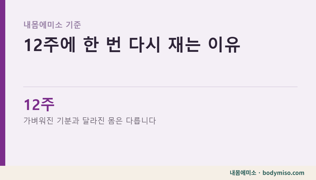 12주에 한 번 다시 재는 이유 — 가벼워진 기분과 달라진 몸은 다릅니다