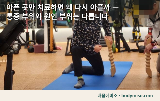 통증 부위와 원인 부위 — 아픈 곳만 치료하면 재발하는 이유