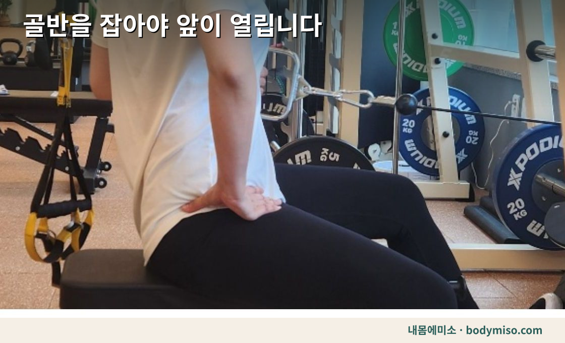 골반 중립 — 골반을 먼저 잡아야 앞이 열립니다
