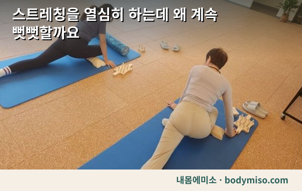 스트레칭 효과 없을 때 — 유연성이 아니라 안정성 문제입니다